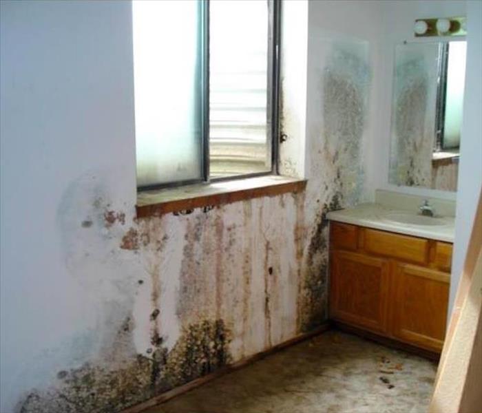 Mold growth on wall in bathroom.