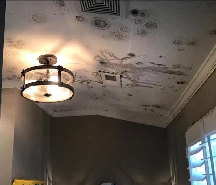 Mold growth on ceiling